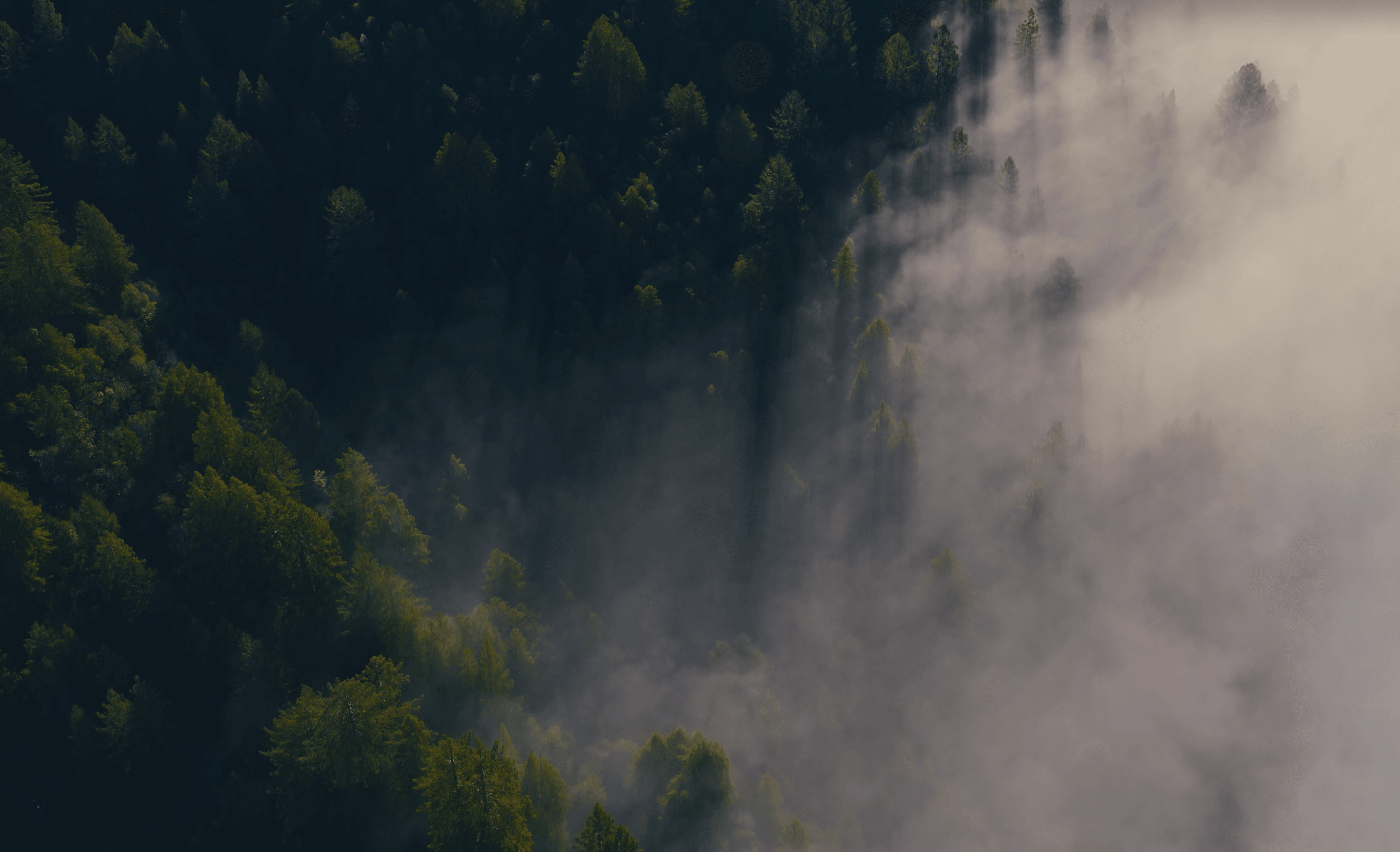Hero background